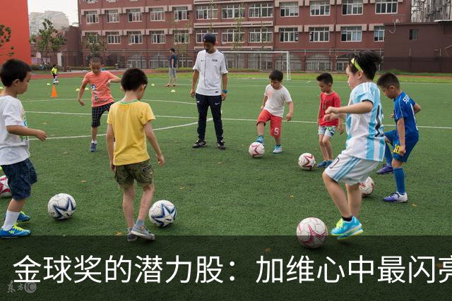 金球奖的潜力股：加维心中最闪亮的明星
